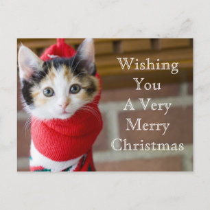 Röd jul Kitten Helg Vykort