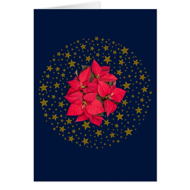 Röd julblomma, glatt guld-stjärnor på blå jul hälsningskort (Framsidan)