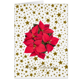 Röd julblomma och glatta guld-stjärnor hälsningskort