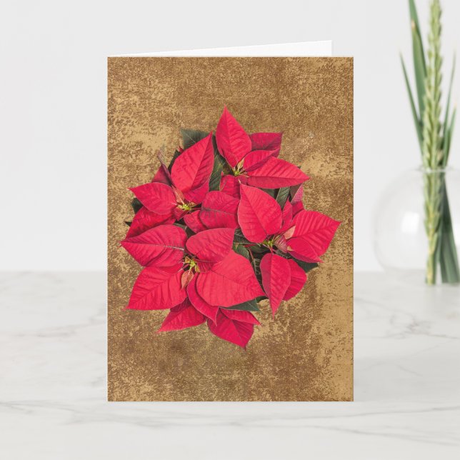 Röd julblomma på abstrakt guld papper helgkort (Framsida)