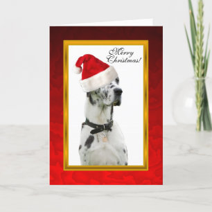 Röd julkort för Dalmation hund Helgkort