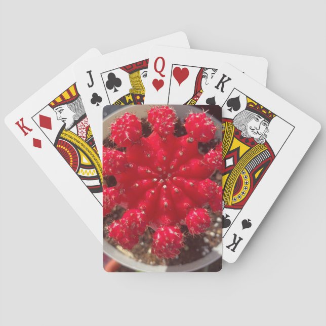 Röd Kaktus Blom Toppträdgård Casinokort (Baksidan)
