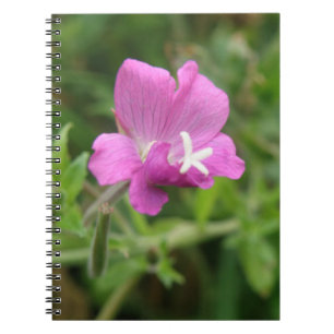 Röd kampion Wildblombok - bärbar dator Anteckningsbok