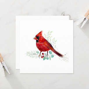 Röd kardinal Bird Watercolor