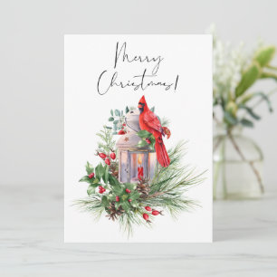 Röd kardinal Bird Watercolor Vinterjul Julkort
