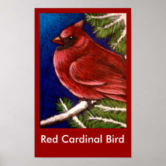 RÖD KARDINAL FÅGEL Poster