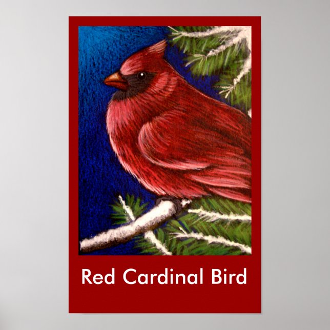 RÖD KARDINAL FÅGEL Poster (Framsidan)