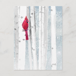 Röd kardinal i den vackra snowy Birch Träd-skogen Vykort