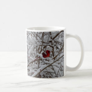 Röd kardinal i en Träd-kaffe som fyllts i Snö Kopp