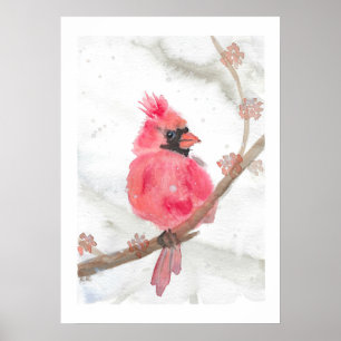 Röd kardinal i Snö Poster