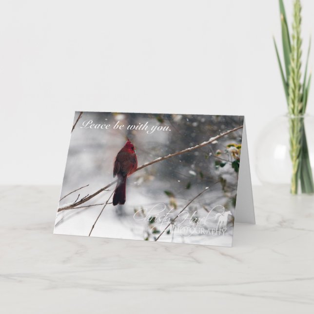 Röd kardinal i snöFOTOjulkort Helgkort (Framsida)