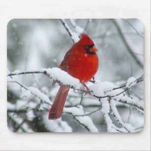 Röd kardinal i snön Mousepad Musmatta