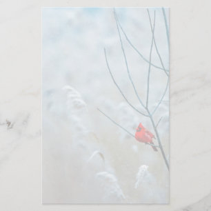 Röd kardinal i vinter natur foto jul brevpapper