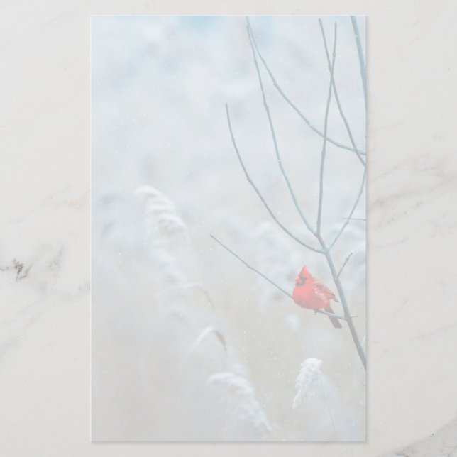 Röd kardinal i vinter natur foto jul brevpapper (Framsida)