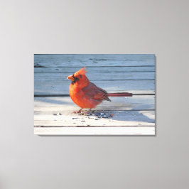 Röd kardinal på träbron canvastryck