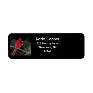 Röd kardinal Perched på Träd Gren Returadress Etikett