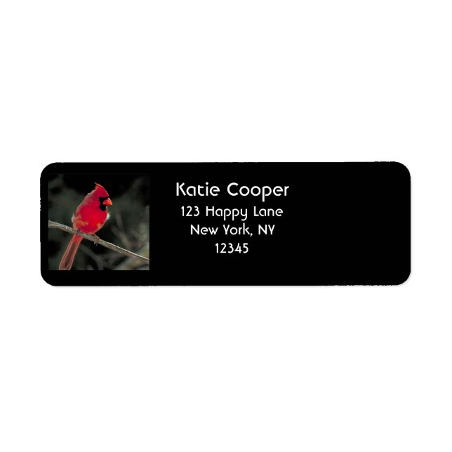 Röd kardinal Perched på Träd Gren Returadress Etikett (Framsidan)