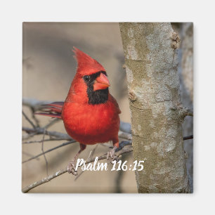 Röd kardinal Psalm 116:15 Magnet