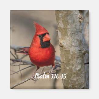 Röd kardinal Psalm 116:15 Magnet