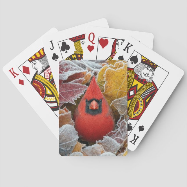 Röd kardinalfågel i frostiga höstlövar casinokort (Baksidan)