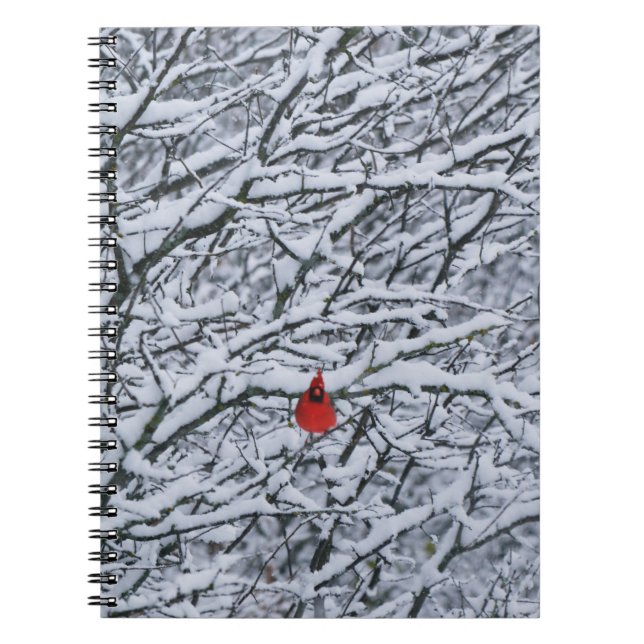 Röd kardinalfågel i snöig trädjournal anteckningsbok (Framsidan)
