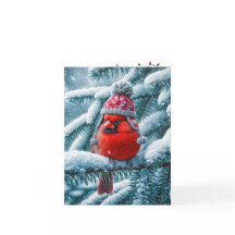 Röd kardinalfågel iklädd vintermössa