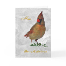 Röd kardinalhona framifrån i snö w holly - tw