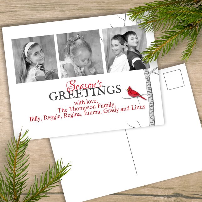 Röd kardinalsemester jul Skogland 3 Foto Helg Vykort (Simple winter botanical red cardinal postcard with a minimalist design.)