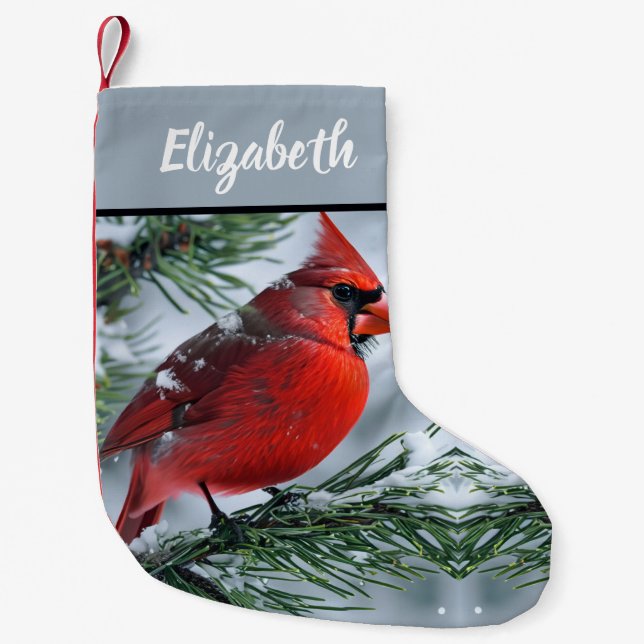 Röd kardinalvinter Snö Gräs Julgran Namn Liten Julstrumpa (Framsidan)
