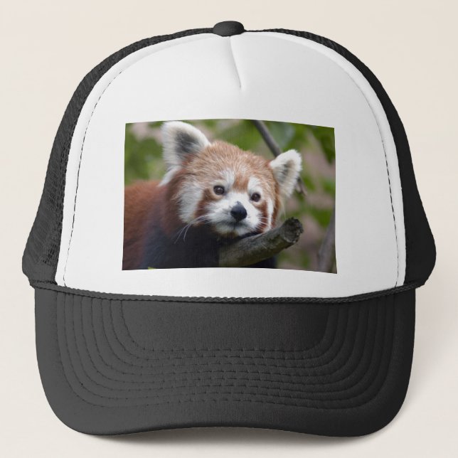 röd kines panda4x6 keps (Framsida)