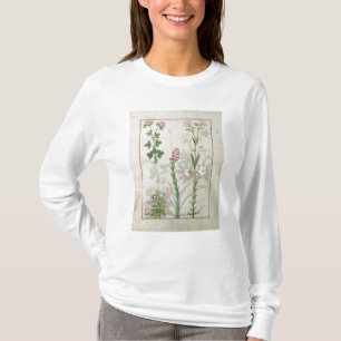 Röd klöver & Aube Bellidis Onobrychis & Hyssopus T-shirt