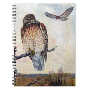 Röd-knuffad hökvintageillustration anteckningsbok med spiral