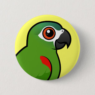 Röd-knuffad Macaw Knapp