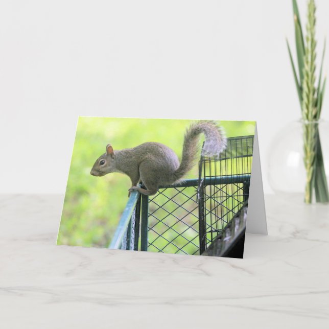 Röd Kort (Framsida)