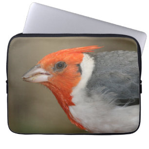 Röd krönad kardinal laptop sleeve