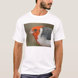 Röd krönad kardinal t shirt