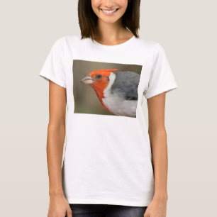 Röd krönad kardinal tee