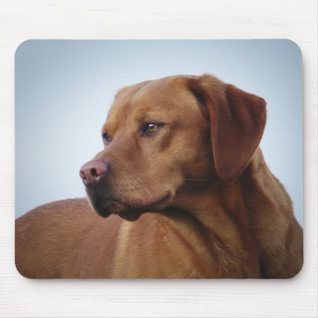 Röd Labrador för räv jakthund Musmatta (Framsidan)