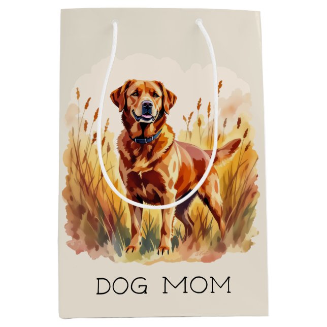 Röd Labrador Retriever Hund (Framsidan)