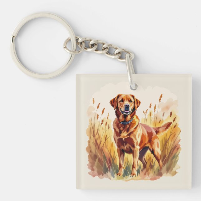 Röd Labrador Retriever Hund (Framsidan)