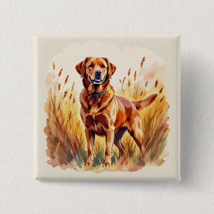 Röd labrador retriever hund knapp