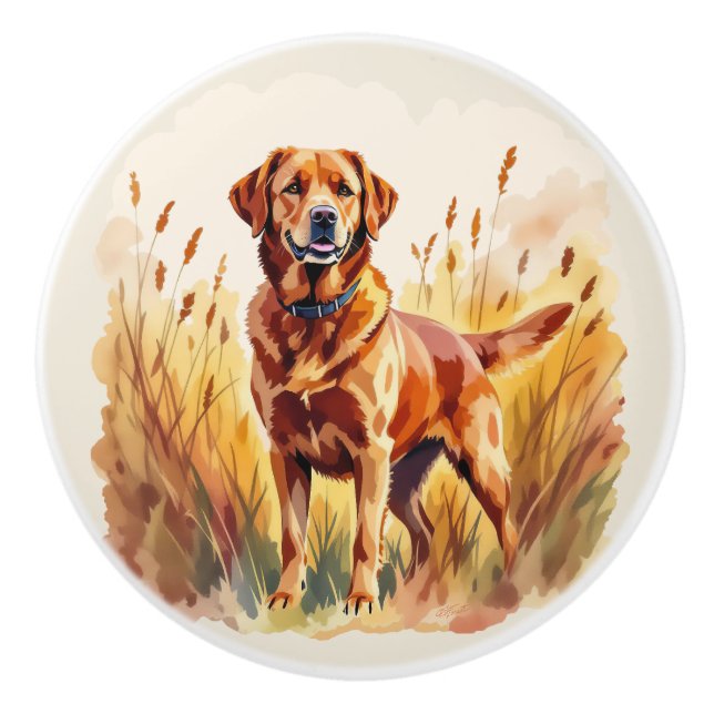 Röd labrador retriever hund knopp (Framsidan)