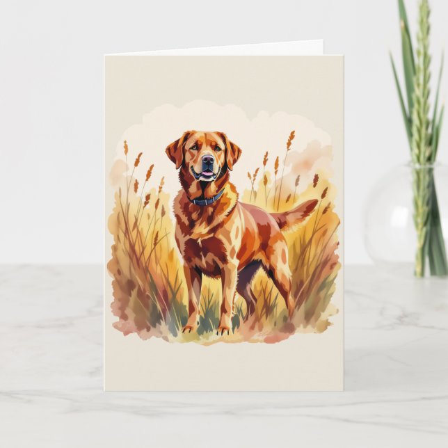 Röd labrador retriever hund kort (Framsida)