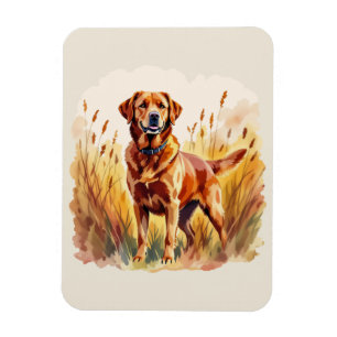 Röd labrador retriever hund magnet