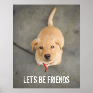 Röd Labrador valp Poster