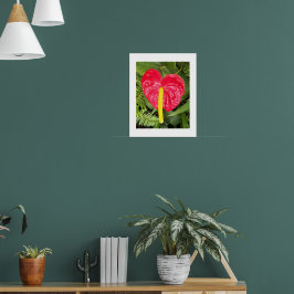 Röd Laceleaf Blomma Blommig Fotografisk Poster