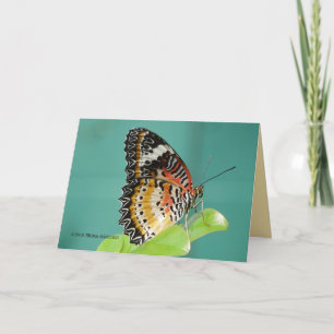 Röd Lacewing Buterfly Kort