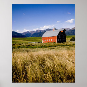 Röd ladugård i fält nära Joseph, Oregon, USA Poster