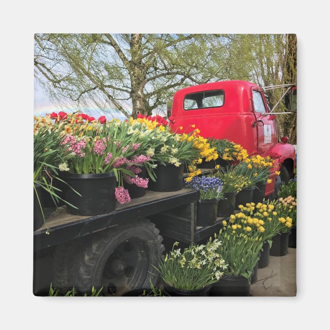 Röd lastbil med vårblommor och regnbåge magnet (Framsidan)