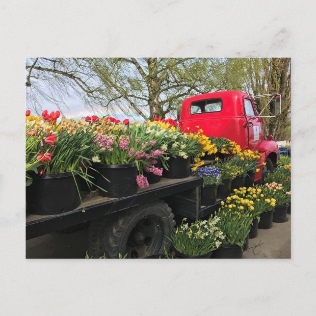 Röd lastbil med vårblommor & regnbåge vykort (Framsida)